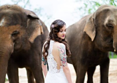 exotic bridal portrait in front of elephants